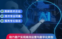 软件开发、IT基础设施运维、AI智能体研发、营销软件定制、C